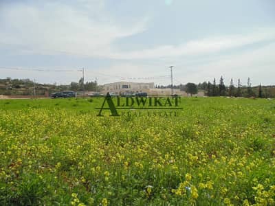 Residential Land for Sale in Naour, Amman - Photo