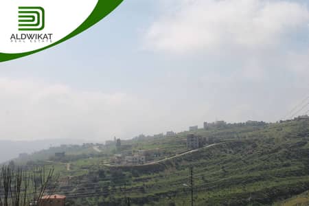 Residential Land for Sale in Naour, Amman - Photo