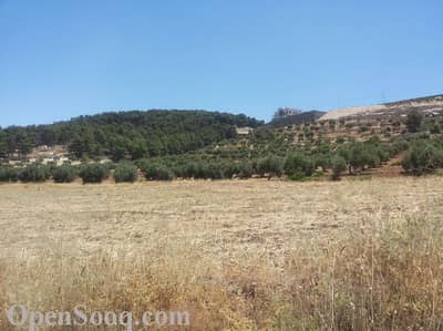 Residential Land for Sale in Naour, Amman - Photo