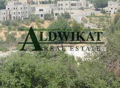 Residential Land for Sale in Shafa Badran, Amman - Photo