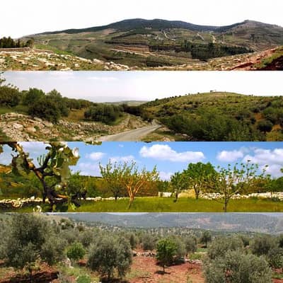 Commercial Land for Sale in Ajloun - Photo