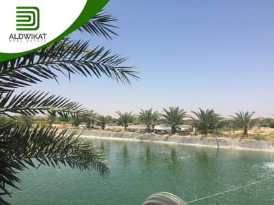 Residential Land for Rent in Gawr Al Safi, Karak - Photo