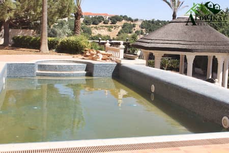 5 Bedroom Villa for Rent in Dabouq, Amman - Photo 5 Bedroom Villa for Rent in Dabouq, Amman - Photo
