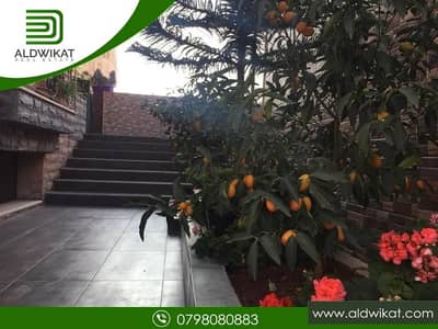 Villa for Rent in Shafa Badran, Amman - Photo