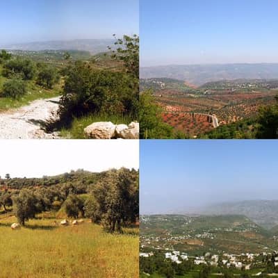 Residential Land for Sale in Jerash - Photo