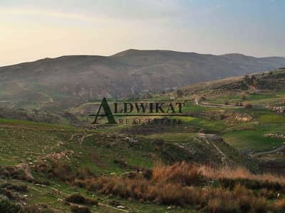 Photo Photo